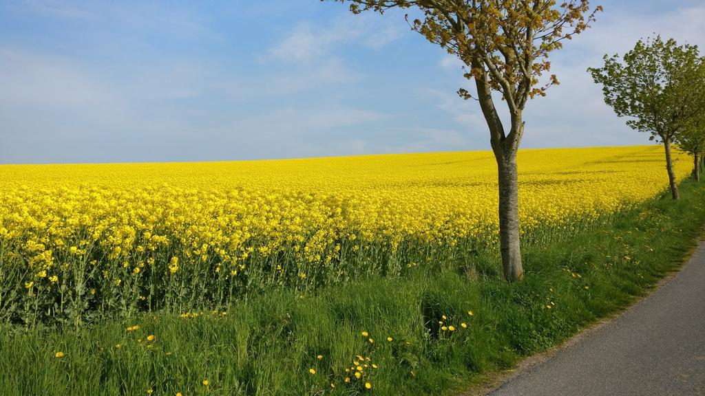 Ferien An Der Ostsee Thomsdorf  Bagian luar foto